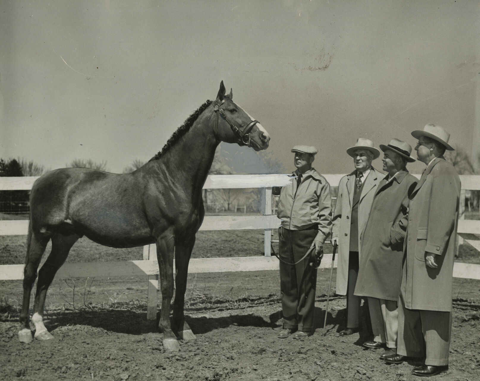 racehorseomaha002